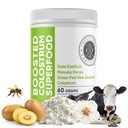 Intestinal Fortitude Boosted Colostrum Superfood Dieetsupplement: Grass-Fed Nieuw-Zeeland Bovine Colostrum, Gold Kiwifruit, Manuka honing, voor spijsvertering, immuunsysteem, en Gut Health (150 Gram)