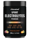 Sport Electrolytes Powder No Sugar, 500g (52 Servings) | Electrolyte Hydration Drink Mix with Sodium, Potassium, Magnesium, L-Glutamine, Beta Alanine, & Coconut Water – Passion Fruit & Mango Flavor