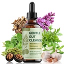 Black Walnut Wormwood Clove Tincture, 10-in-1 Digestive Support Liquid Drops with Oregano, Garlic, Pumpkin Seed, Aloe Vera Leaf – Intestinal Care & Flora Balance – Alcohol-Free, Raspberry Flavor