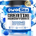 Creatine Monohydraat Gummies voor mannen en vrouwen 5000mg Creatine Monohydraat per Serving for Muscle Support Energy Boost 120 Tel Kauwbare 5g Creatine Supplement Sugar Free Vegan (1 Pack, Blue Raspberry)