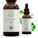 B60 USDA Teinture biologique d'extrait sans alcool, gouttes d'herbes à haute puissance d'extrait biologique certifié d'herbes à chickweed (Stellaria Media) séchées (2 oz)