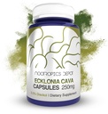 Nootropics Depot Ecklonia cava Capsules | 250mg | 0.5% Dieckol | Brown Seaweed | 120 Count