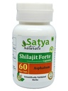 Shilajit Forte Capsule 500 mg. 60 Veg. Capsule | Shilajit (Asphaltum) Extract Capsules for Men and Women | Ayurvedic Herbal Supplement/Remedies | 10:1 Forte (1 Bottle of 60 Capsules)