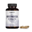 Akkermansia Muciniphila Probiotic 30 Billion TFU, Pasteurized Form, with Natural Prebiotic Inulin, GLP-1 Supplement for Gut Health & Digestion, Shelf Stable, 30 Vegan Capsules