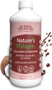 Begraven Treasure Nature's Vollagen 2000mg Vollagen Complex, huid, haar, en Joint Health, 100% plantaardige basis, Glutenvrij, Sojavrij, Dairy-Free, Chocolate Mocha Flavor, 16oz Liquid