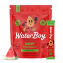 Waterboy Daily Hydration | 1,570mg Electrolyte Powder Packets | No Sugar, All Natural, Gluten Free, Zero Calories | 15 Drink Stick Mixes (Watermelon)