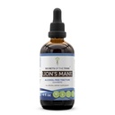 Secrets of the Tribe Lion's Mane Tincture Alcohol-Free Extract, Lion's Mane (Hericium erinaceus) Dried Mushroom (4 fl oz)