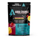 Grab The Gold Aqua Charge Electrolytes Drink Mix | Naturally Flavored Sugar-Free, Hydration Drinks with B Vitamins | Vegan, Gluten-Free, Non-GMO | Raspberry Lemonade - 16 Packs, Made in USA