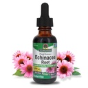 Antwoord van de natuur Echinacea Alcoholvrij Extract 1 Fluid Ounce 