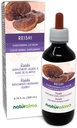 Naturarma Reishi (Ganoderma lucidum) Schimmel of paddo Alcoholvrije Tinctuur - 6,76 fl oz Liquid Extract in druppels - Kruidensupplement - Veganistisch
