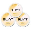 BLINT Flow Caffeine Free Nootropic Pouches | Brain Supplements for Memory and Focus | Alpha GPC, L-Theanine, L-Tyrosine | Nicotine Free, Sugar Free | Tropic Mango (3 Cans)