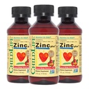 ENFANT ESSENTIELS Liquid Zinc Plus pour les enfants et les tout-petits - gouttes de supplément liquide, gluconate de zinc et cuivre pour le support immunitaire - Fraise de mangue, 4 Fl Oz (paquet de 3)