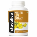 STAY ALIVE Mullein Leaf Extract 1000mg, 10:1 Extra Strength, 120 Vegan Mullein Capsules, All Natural, 100% Pure Leaves Powder, 2 Month Supply, Non-GMO and Gluten-Free Supplement