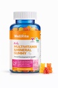 Kids Multivitamin Gummies – Wellrite Vitamin & Mineral for Growth & Immunity, Vegan, Gelatin Free, Gluten Free, Nut Free, 60 Count, Strawberry & Lemon Flavor