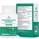 Spliferikou Ecklonia Cava Extract, 800mg, 60 Veggie Capsules with Fucoidan, Green Tea, Turmeric, CoQ10, Dietary Supplement