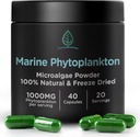 Marine Phytoplankton Capsules by Holistic Bin 