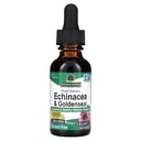Het antwoord van de natuur Enchinacea & Goldenseal Ondersteunt een gezond immuunsysteem, superpure extract, alcoholvrij, glutenvrij, veganistisch en Kosher gecertificeerd