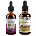 Rejuvica Health Bright Lungs & Active Mullein Bundle - Lung Detox & Respiratory Support - Grindelia, Lobelia, Licorice for Lung Cleanse, Mucus & Sinus Health