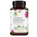 Cardo Mariano reforzado con diente Leon (Milk Thistle Reinforced w/Dandelion) 90 Vegetable Capsule 1500 mg per Serving, Root Liver Health Support, Antioxidant Support,100% Natural, Made by BexpertsUSA