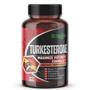 Ultra Turkesterone Ajuga Turkestanica Gestandaardiseerde 20% Turkesterone Hoge Potentie met Maca Root Tribulus Terrestris - Spiergroei Energie Geheugen Ondersteuning