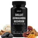 Shilajit Ashwagandha Mushroom Capsules, Herbal Blend with Lion’s Mane, Cordyceps, Reishi & Chaga, Vegan, Lab Tested, Non-GMO Supplement for Focus, Energy, Clarity & Daily Balance (60 Caps)