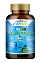 Celulas Madres AFA Stem Natural Cell 120 Capsules 1000 mg Blue Green Algen Non GMO Glutenvrij Aphanizoomenon Flos-aquae celula Madre Suplement