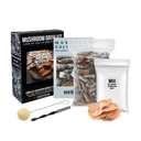 North Spore Chicken of the Woods Mushroom Log Kit, Outdoor DIY Mushroom Kit, Easy & Fun Wellness Hobby, Includes 100 Count Mushroom Plugs for Logs, Made in USA, Culinary Mushrooms, Medicinal Mushrooms