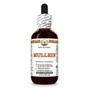 Mullein (Verbascum Densiflorum) Dry Leaf Glycerite, All Natural, Vegan, Lab Tested Alcohol-Free Liquid Extract - 2 fl.oz