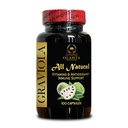 Organic Graviola Extract Capsules - Antioxidants for Immunity - Free Radical Defense - Soursop Herbal Supplement for Vitality - Vegan, Non-GMO - 1 Bottle 100 Capsules