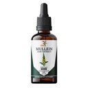 Mullein Leaf Liquid Extract Drops, No Fillers, Alcohol Free Herbal Tincture, Vegetarian, Non GMO & Gluten Free, 2 Fl Oz