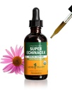 Herb Pharm Certified Organic Super Echinacea Liquid Extract Drops voor actieve immuunsysteem ondersteuning, 2 Oz