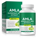 Amla Capsules 1000mg, High Concentration Amla Fruit Supplement 120 Plant-based Capsules Natural Vegan Amla Extract Premium Amla Fruit Powder Herbal Immune Support Supplement Non-GMO, Gluten Free