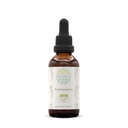 HerbEra Andrographis Alcohol-Free Herbal Extract Tincture,Concentrated Made with Fah talai jone, Chuan Xin Lian, Andrographis paniculata 2 fl oz