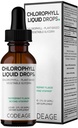 Codeage Chlorofyl Liquid Drops Supplement - Vegan Chlorofyl 50 mg per Serving, Organic Peppermint Flavor Clorofila Drink - Non-GMO, Gluten-Free, Vegan - 2 fl oz