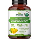 Zazzee USDA racine de dandelion biologique 10:1 extrait, 3000 mg de force, 120 capsules, 4 mois d'approvisionnement, extrait normalisé et concentré 10X, 100% végétarien, tout naturel et non-OGM