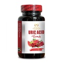 Natural URIC Acid Formula - Joint Flexibility, Body Health & Joint Function Support, Milk Thistle, Kidney Herbal Supplements Pills, Tart Cherry - 1 Bottle