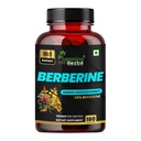 Humming Herbs Berberine Supplement 10:1 Extract – Berberis aristata Extract (Berberine HCl) 1000 mg – 180 Vegan Capsules, 90-Day Pack