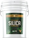Vulkanisch Silica Minerals Gemicroniseerd- 40 lbs