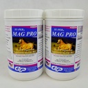 SUPER Mag Pro Horse Calmant Supplément - Soutien Comportement normal et effet calmant - Supplément de magnésium pour chevaux - 4 livres, (2 paquets)