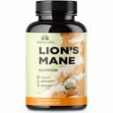 HERBALICIOUS Lion’s Mane Supplement Capsules – Premium Mushroom Capsules for Memory, Focus & Nerve Support – Non-GMO, Gluten-Free Brain & Clarity Support – 1000mg Lion’s Mane – 120 Capsules