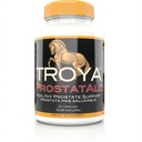 TROYA Supplement 