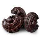 Purple Ganoderma Lucidum Muzhi Immortal Grass Zi Ling Zhi Immune Support Wild Natural Organic Herbs 500 Grams Bulk.