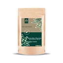 Blessfull Healing Momordica Charantia (Karela/Bitter Melon) Powder 100% Pure Natural 200 Gram / 7.05 oz