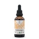 Hydrangea USDA Organic Alcohol-Free Extract | Dietary Supplement, High-Potency Tincture | Natural Certified Organic Hydrangea arborescens Dried Root (2 oz)