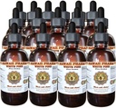 White Pine Liquid Extract, White Pine (Pinus Strobus) Bark Powder Tinctuur, Kruidensupplement, Hawaii Pharm, Made in USA, 15x4 fl.oz