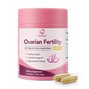 Ovarian Fertility Support, Myo & D-Chiro Inositol 40:1 with CoQ10,60 Caps