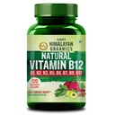 Vlado's Himalayan Organics Plant Based Vitamin B12 Supplement | B1,B2,B3,B5,B6,B7,B9,Moringa| Boost Energy Level | For Memory, Brain, Heart & Nervous System Support | B12 supplement for Men & Women - 120 Veg Capsules