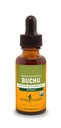 Herb Pharm Certified Organic Buchu Liquid Extract voor ondersteuning van het urinesysteem, 1 Fl Oz