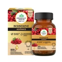 Organic India Berberine Advance Capsules, 60 Veg Capsules, 500 mg per Capsule, With Organic Cinnamon & Black Pepper Extract, Metabolic Support & Blood Glucose Balance