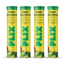 PLIX - THE PLANT FIX Garcinia Cambogia 15 Effervescent Tablets For Weight Loss- Pack of 4, Ayurvedic Herbs,Ginger,Cinnamon Extract, Improves Energy, Boost Metabolism and Burn Fat, For Men & Women